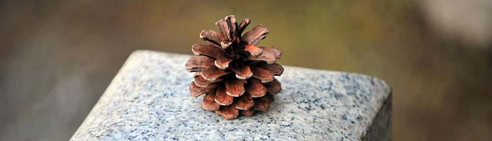 bud2
